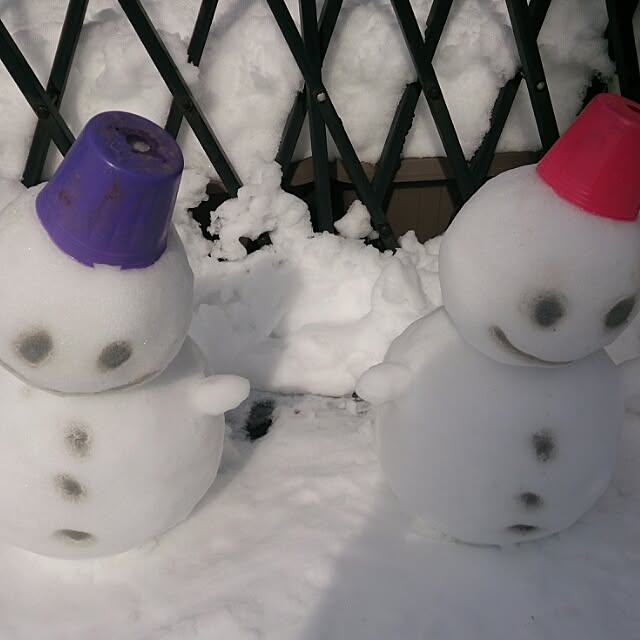 momiさんの実例写真
