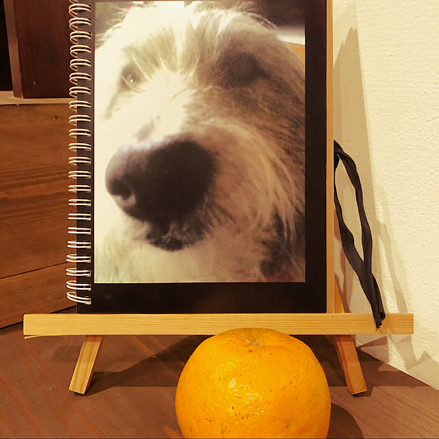 masさんの実例写真