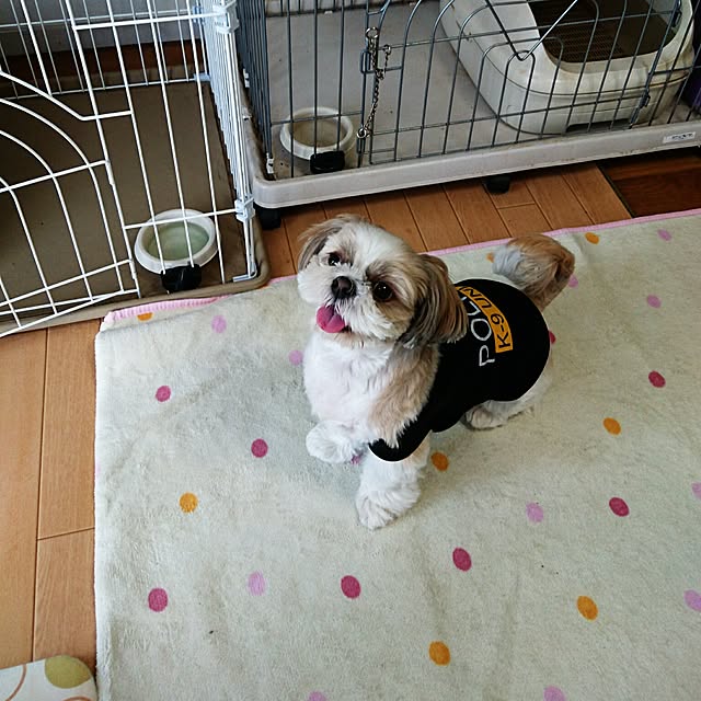 ronさんの実例写真