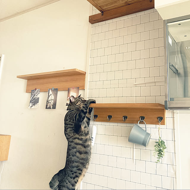 masamasaさんの実例写真