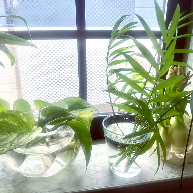 MOMOMAMAさんの部屋
