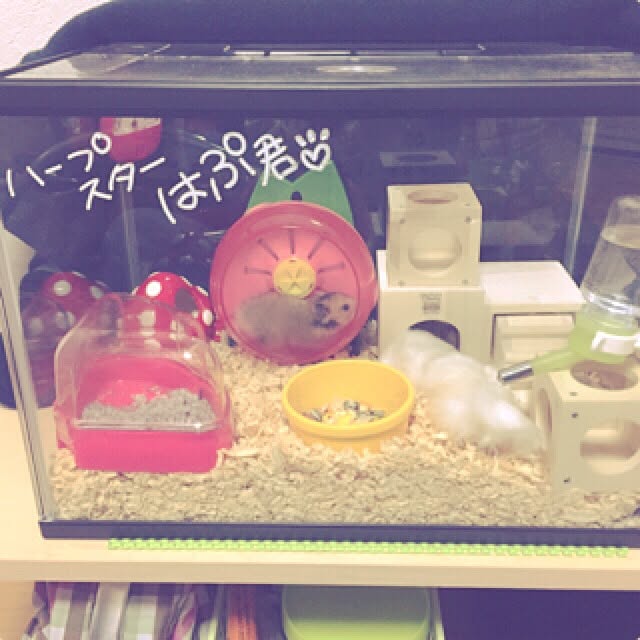 M-kaさんの実例写真