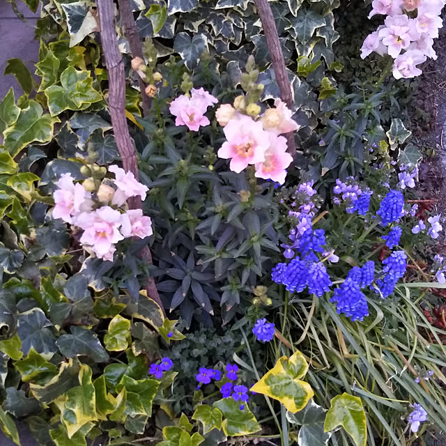 yukkoさんの実例写真