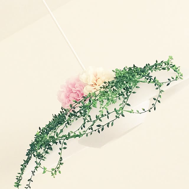soraさんの実例写真