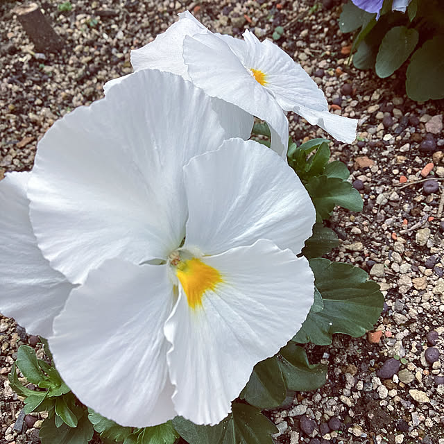 richanさんの部屋