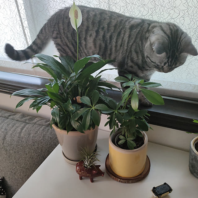 hiro3さんの実例写真