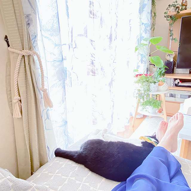 moolさんの実例写真
