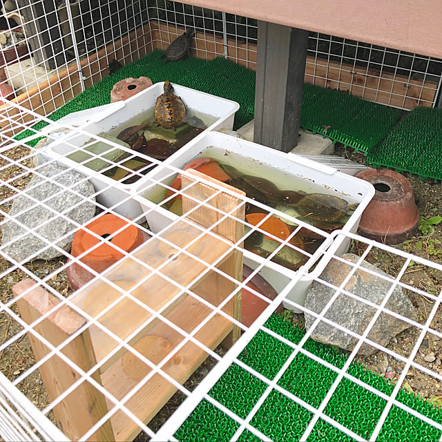 ayayayayaさんの実例写真