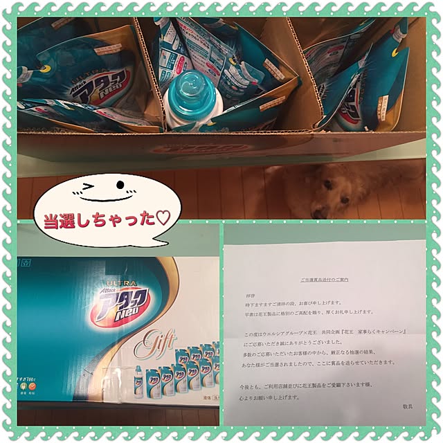 momoさんの実例写真