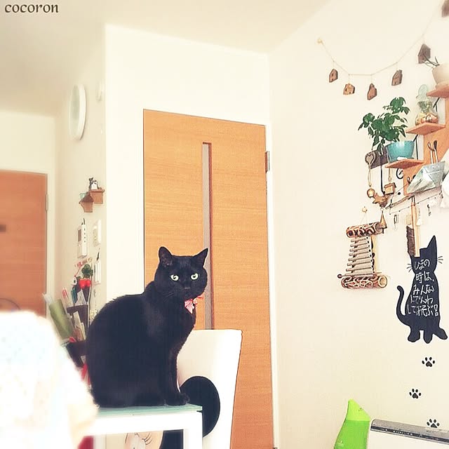 cocoronさんの実例写真