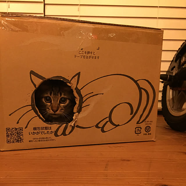 sakurasakuさんの実例写真