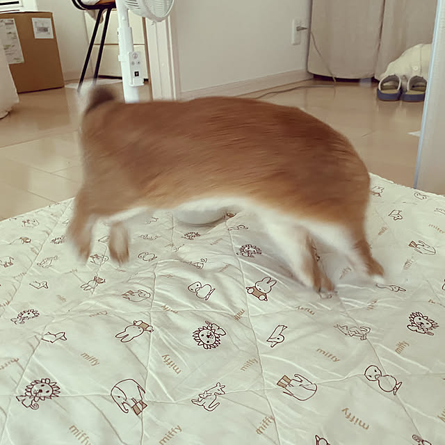 Natsuさんの部屋