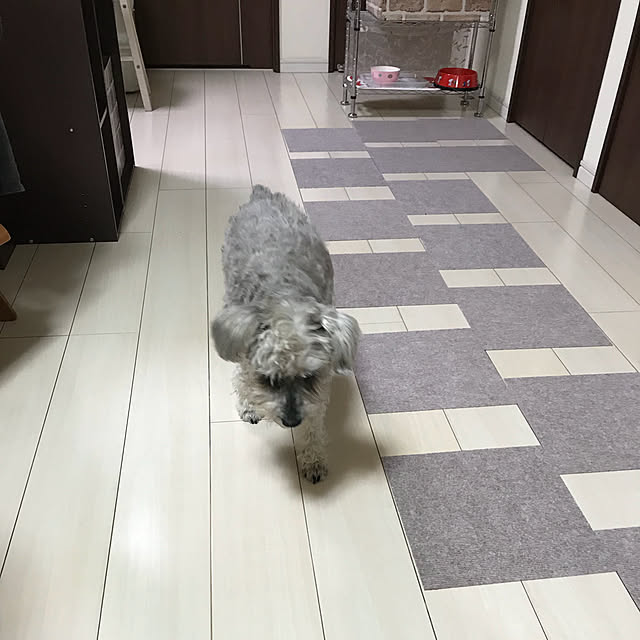 alchoさんの実例写真