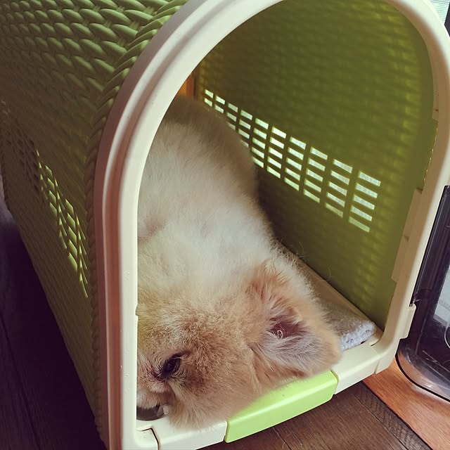 sawaさんの実例写真