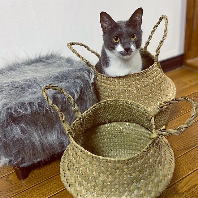 makky.0223さんの実例写真