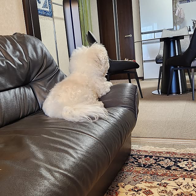 takoさんの実例写真