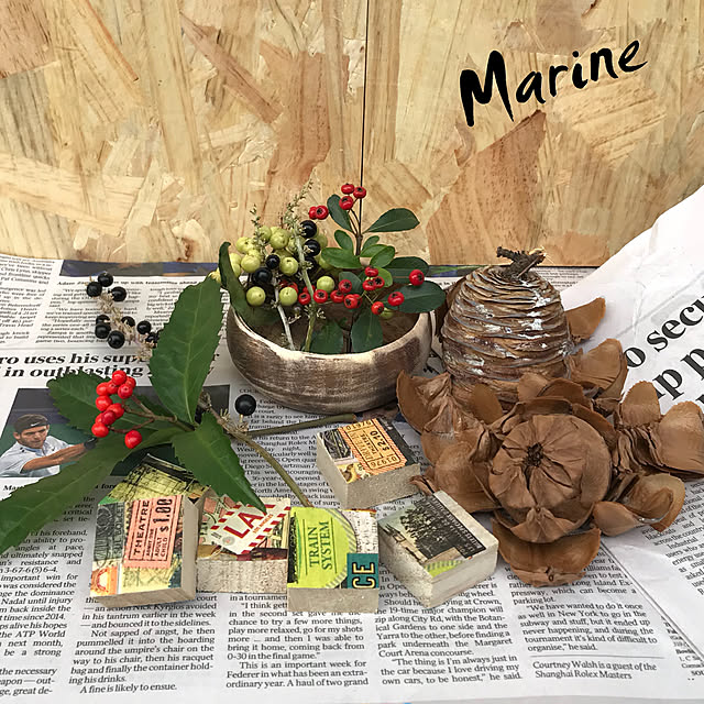 marineさんの実例写真