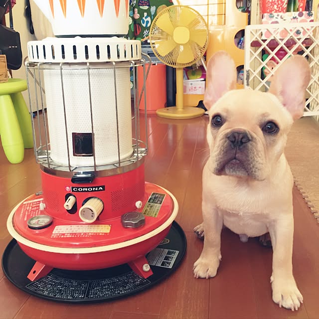 ayucchiさんの実例写真