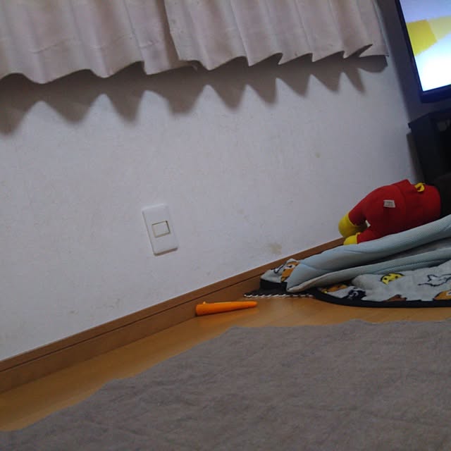 japanさんの実例写真