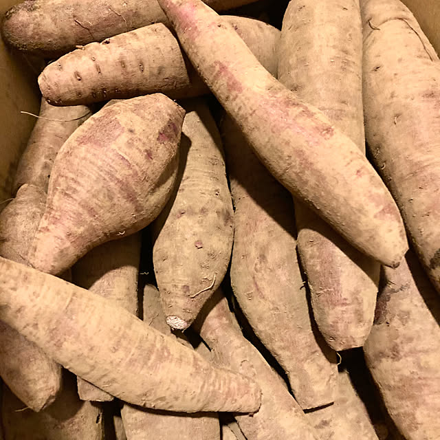 maki_papercraftさんの部屋