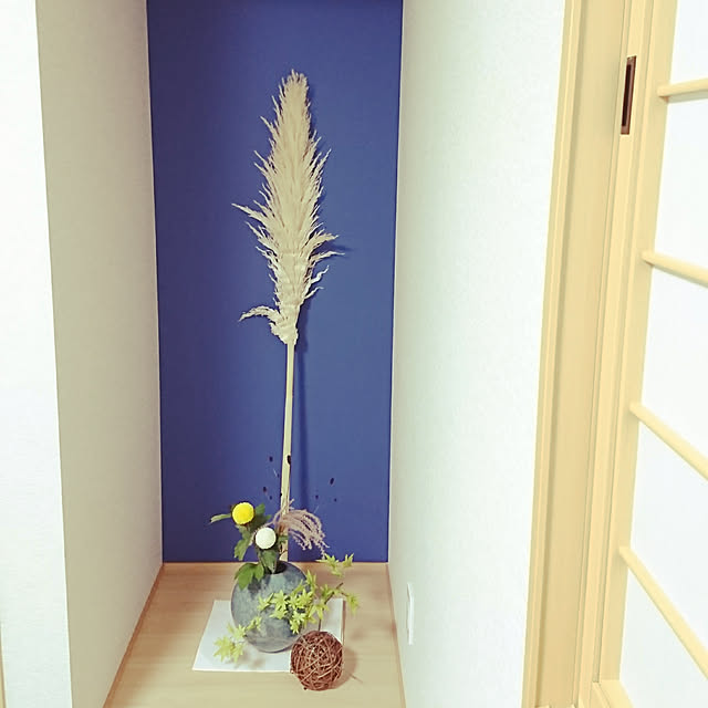 Maiさんの実例写真