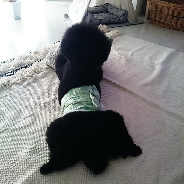 ucaさんの実例写真