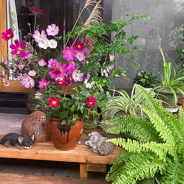 CoCo0617さんの実例写真