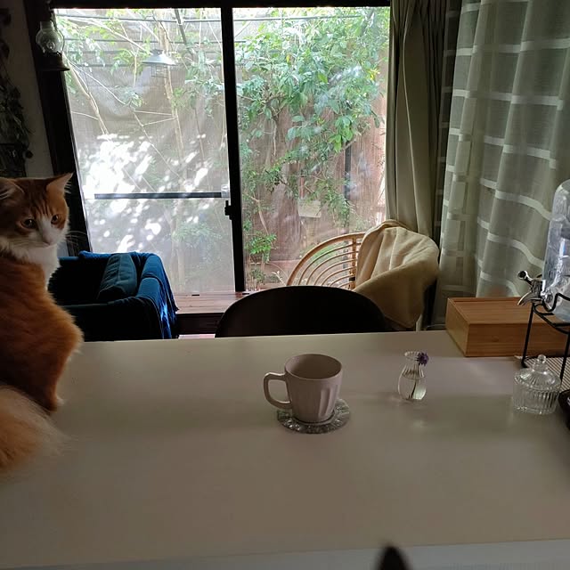 mori_6_12さんの実例写真