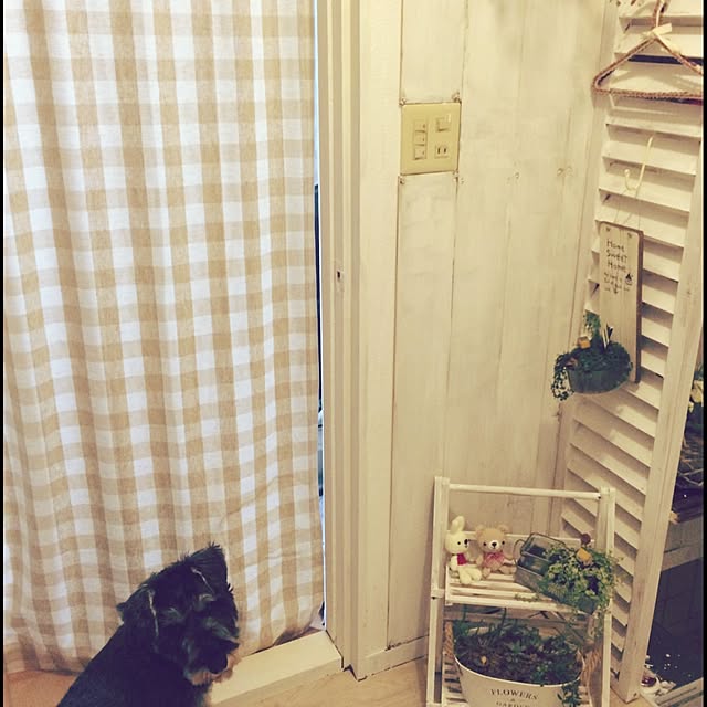 kyonchanさんの実例写真