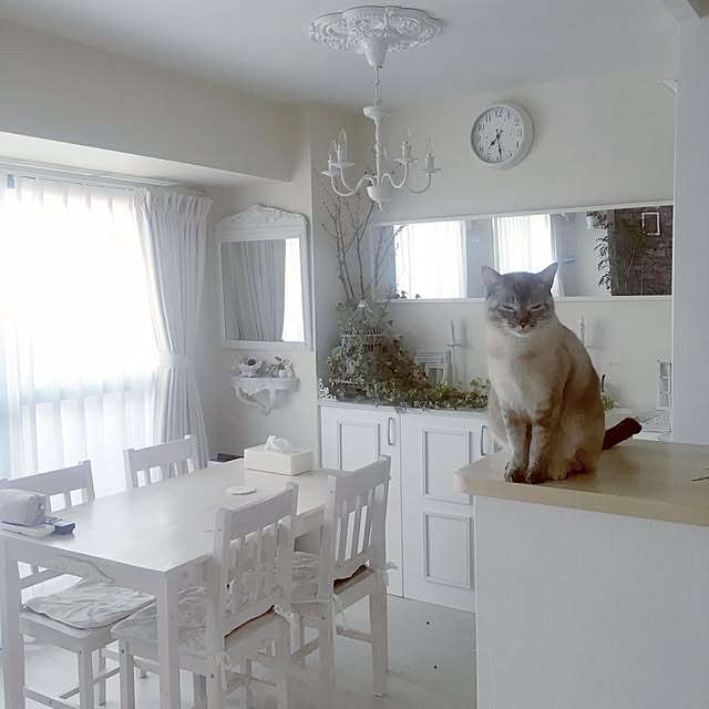 noelさんの実例写真