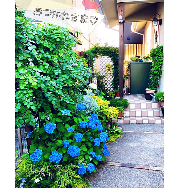 hinamamaさんの実例写真