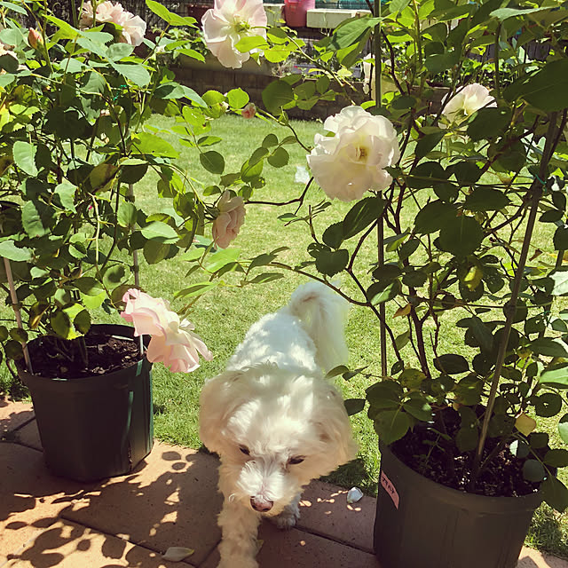 osarunoeijiさんの部屋