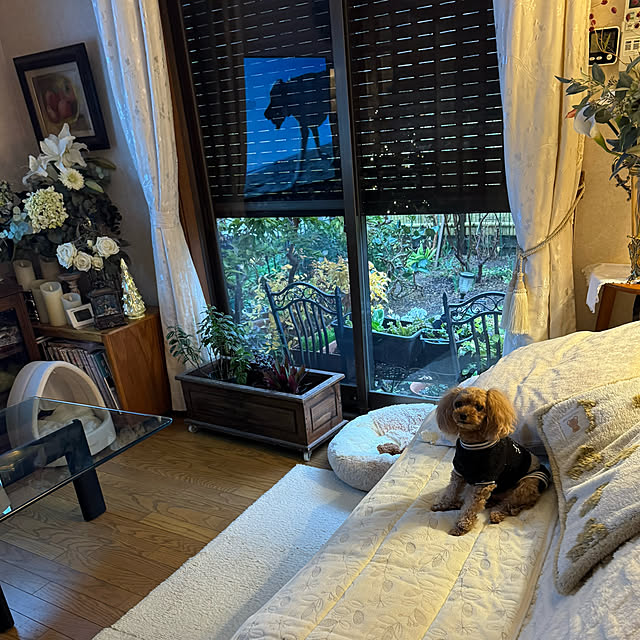 mamizaさんの実例写真