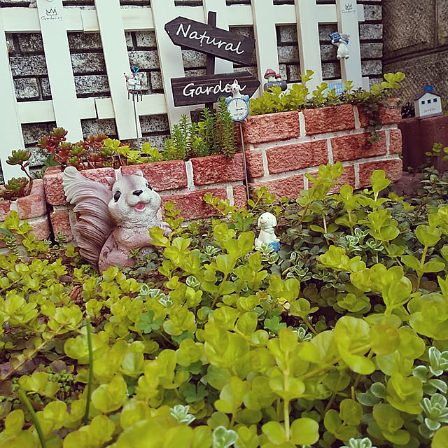 25Moondropsさんの実例写真
