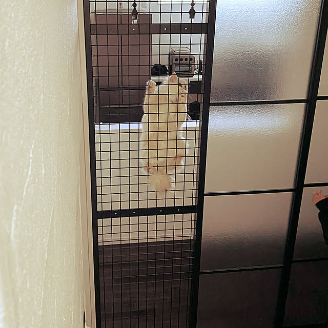 airyさんの実例写真