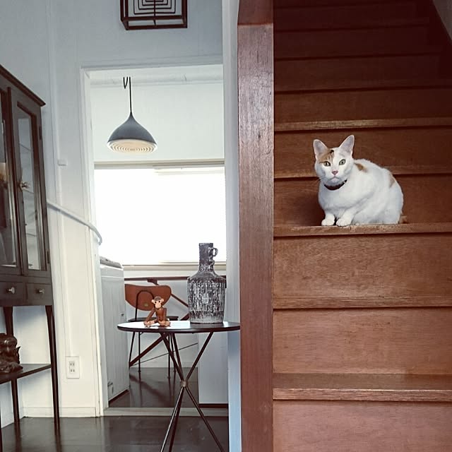 tkhrさんの実例写真