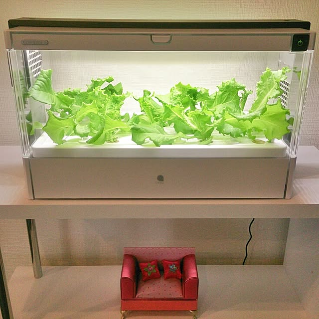 水耕栽培 グリーンファームのおすすめ商品とおしゃれな実例 水耕栽培 グリーンファームのおすすめ商品とおしゃれな実例