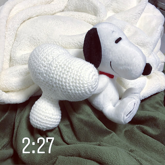 suzyさんの実例写真