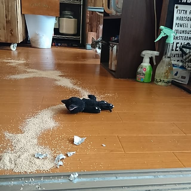 kiraさんの実例写真