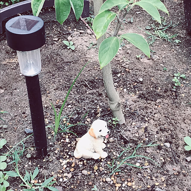 flowerさんの実例写真