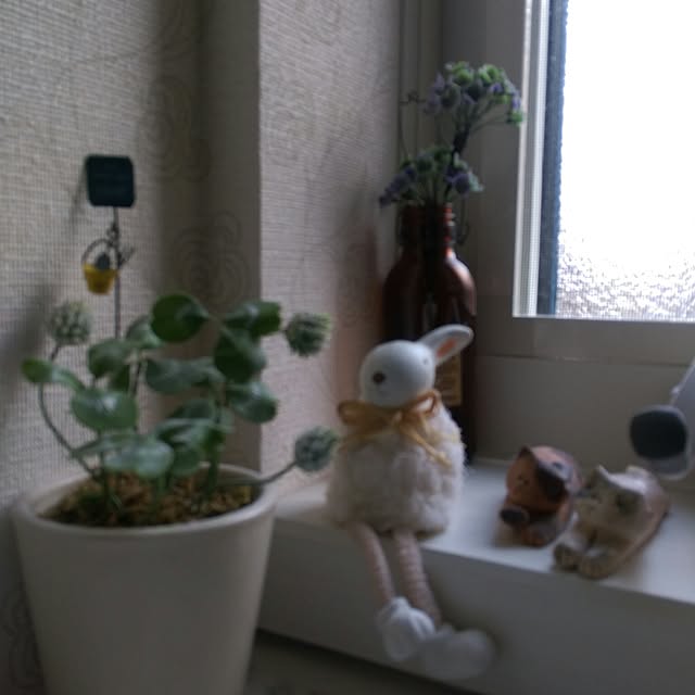 sayuさんの実例写真