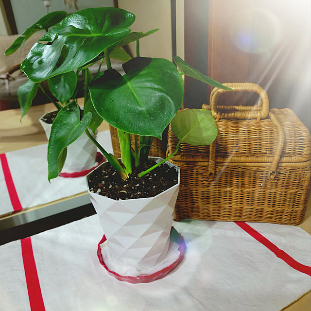 pi-naさんの実例写真