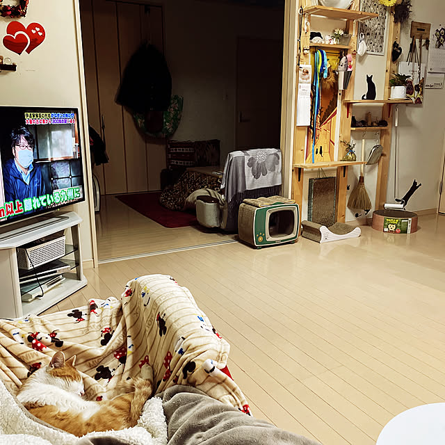 Toyomiさんの実例写真
