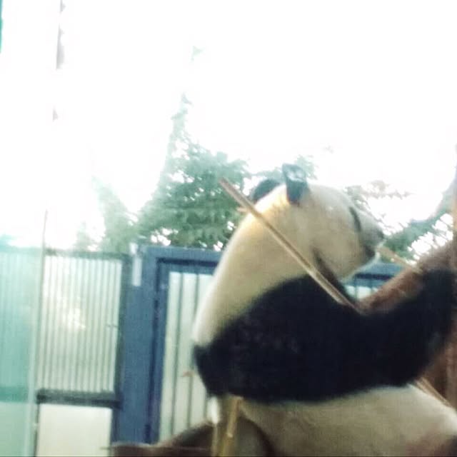 ayaさんの実例写真