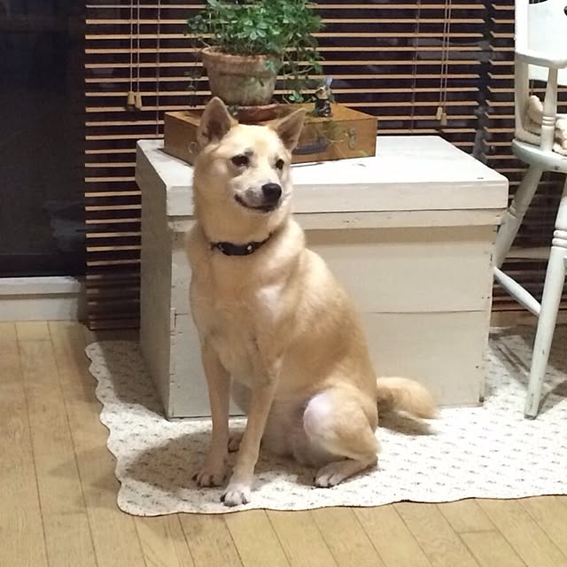 leonaさんの実例写真