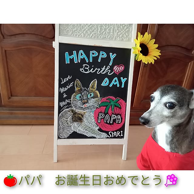 moruさんの実例写真