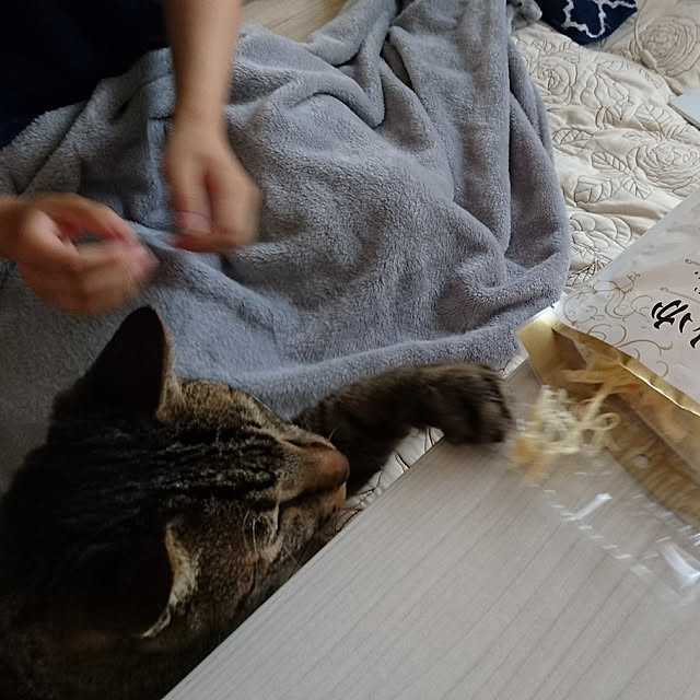 taleo07さんの実例写真