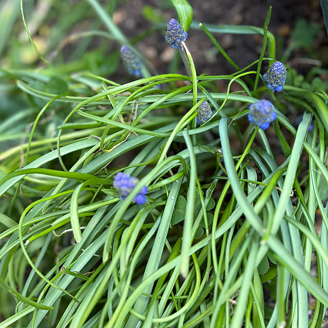 buchiさんの部屋