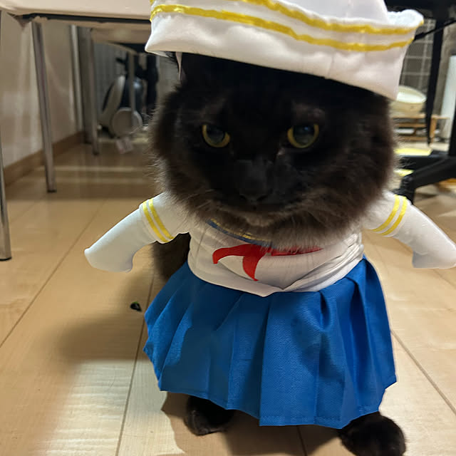 miruさんの部屋