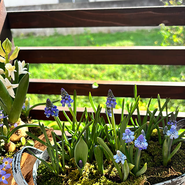 kyoko1124koさんの部屋